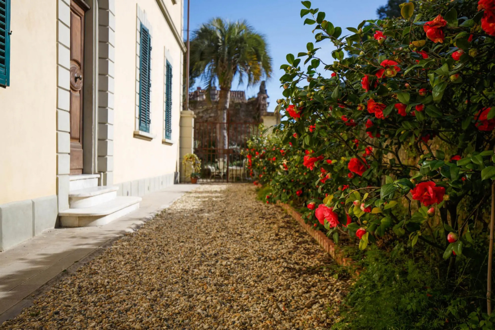 The Park View Apartment