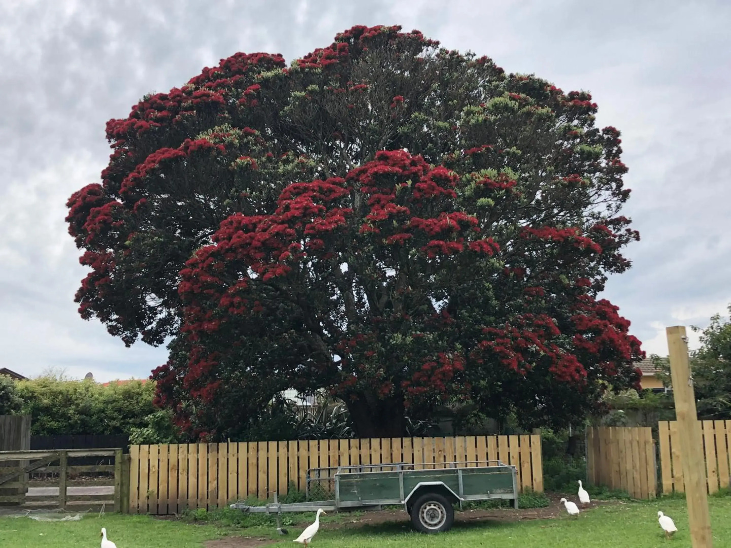 @Taradise-Opunake - eco-friendly Coastal hideaway