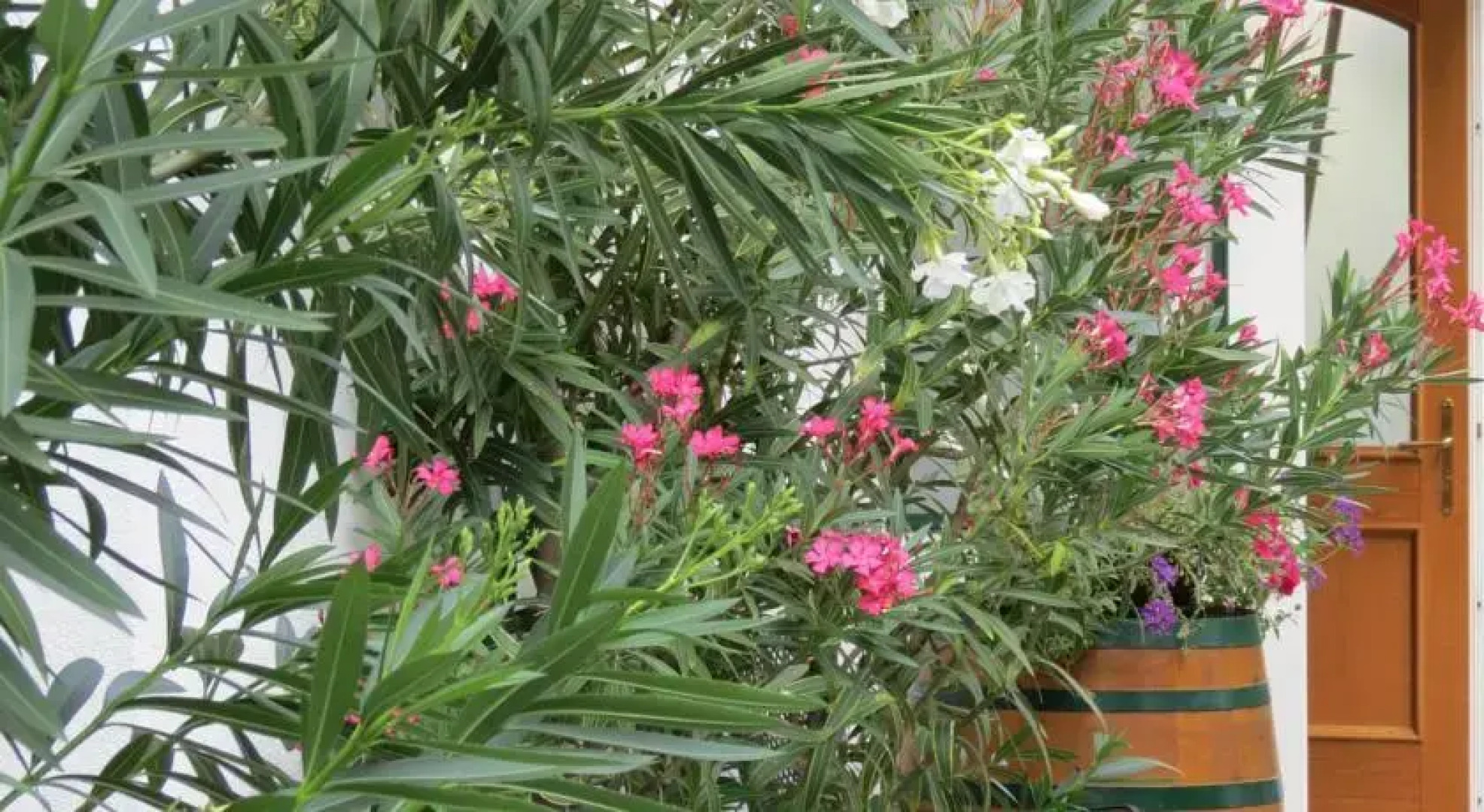 Gartenpension Fischl