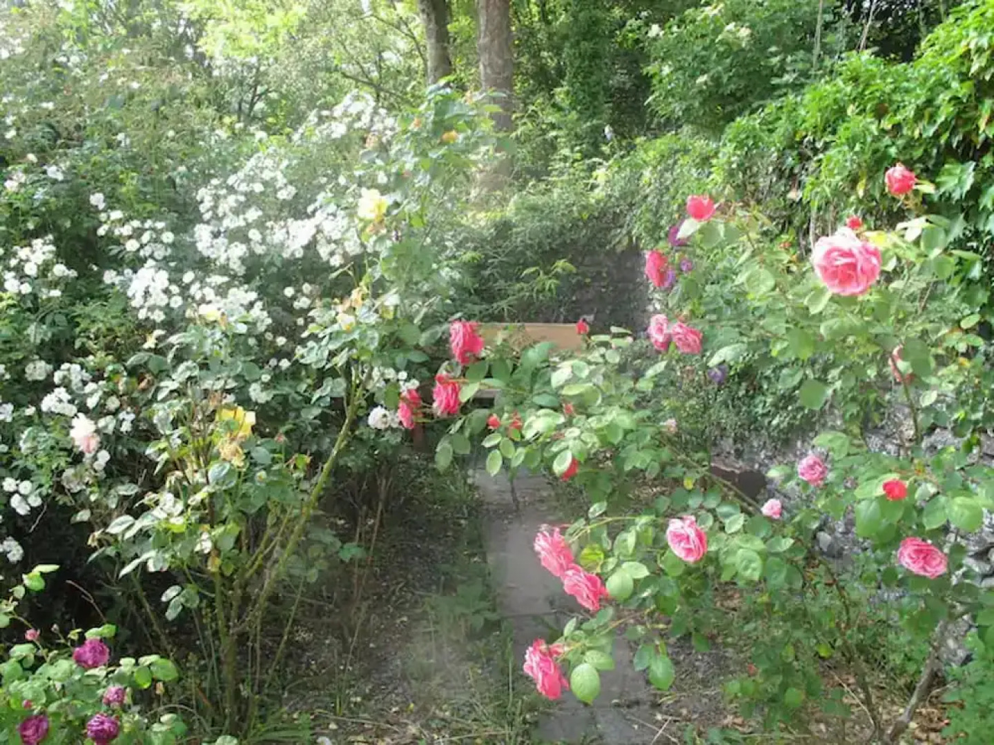 Charming 3-bed Cottage in Llandysul