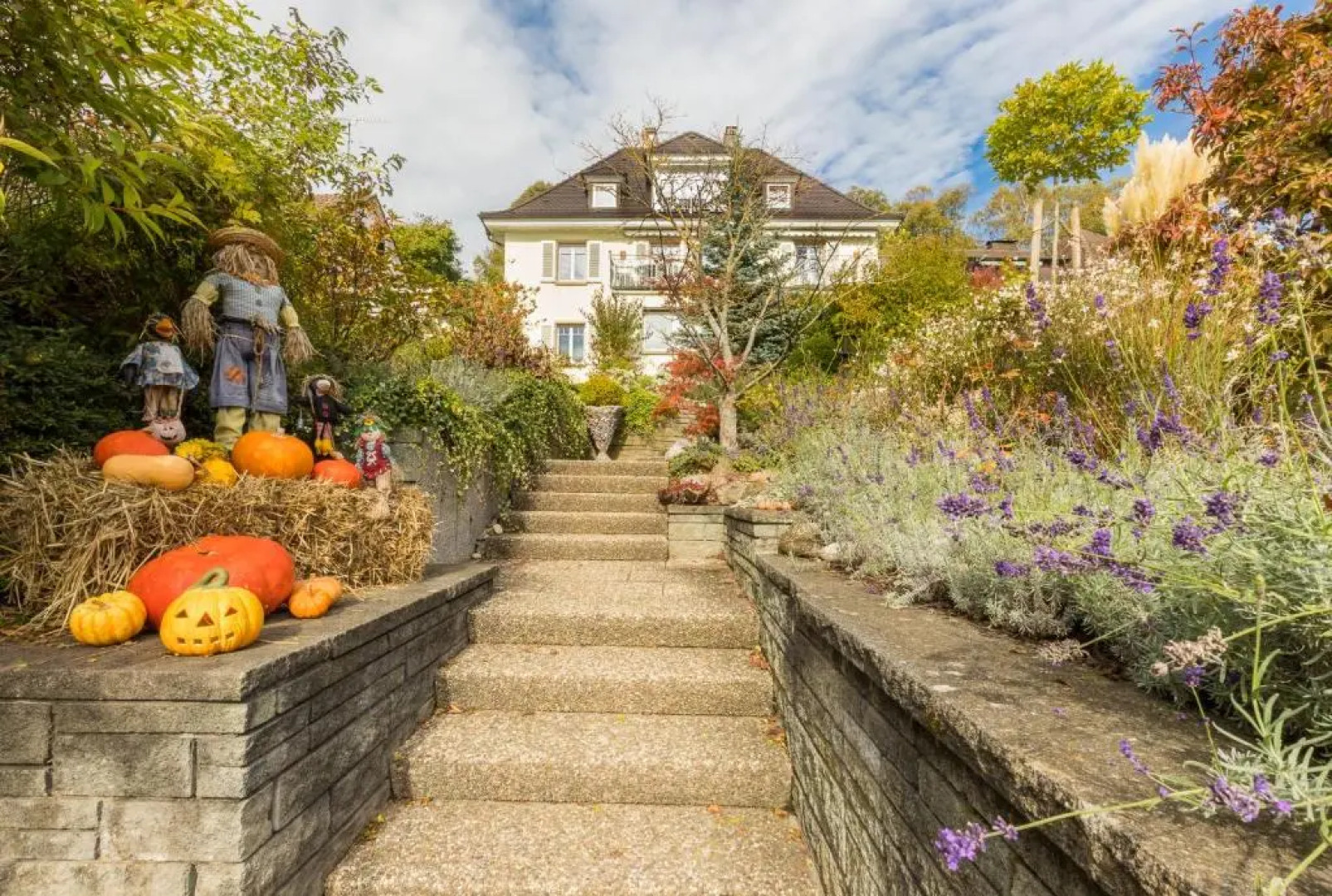 Ferienwohnung Bodenseeblick