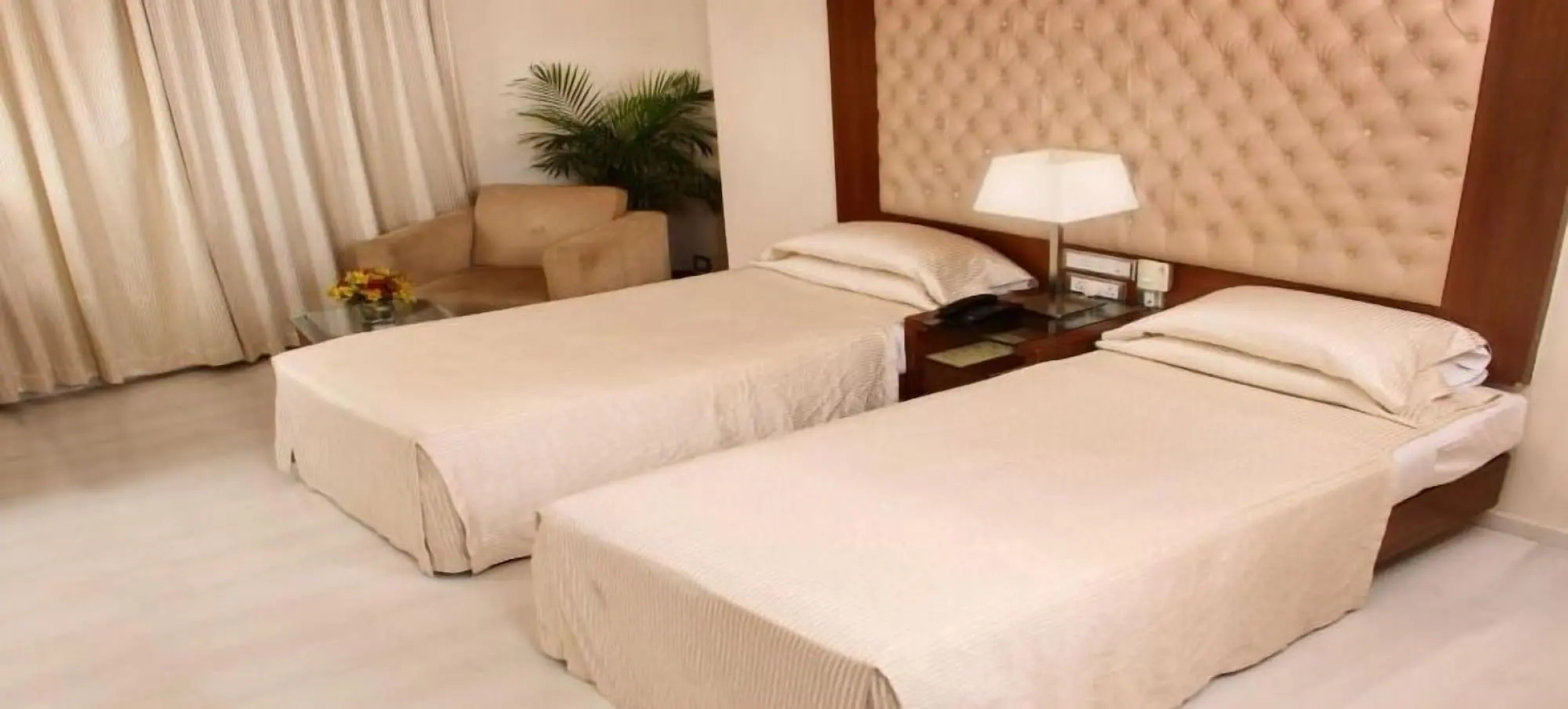 The Chevron Orchards