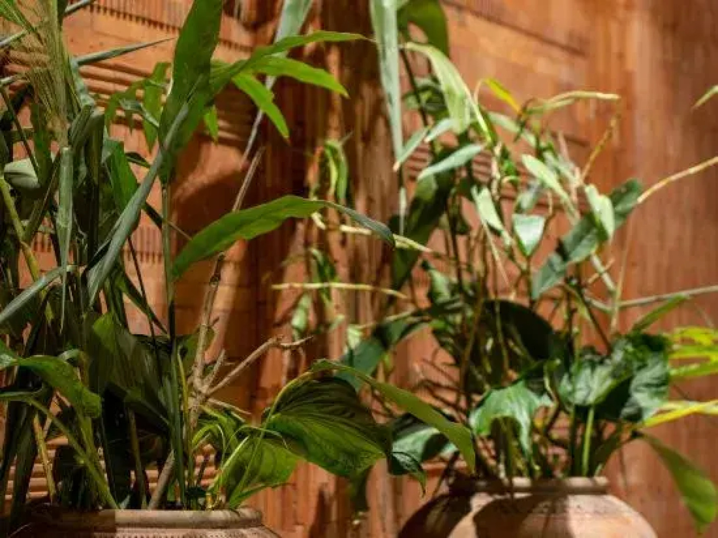 Nanlahe Paya Resort Hotel