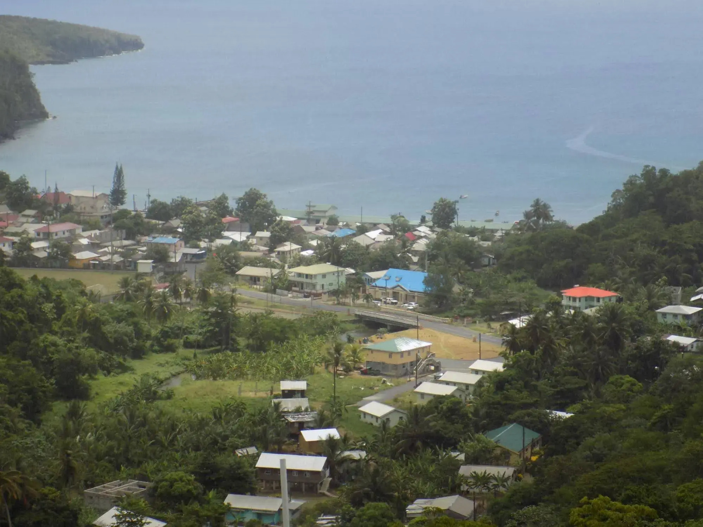 Tropical Paradise View