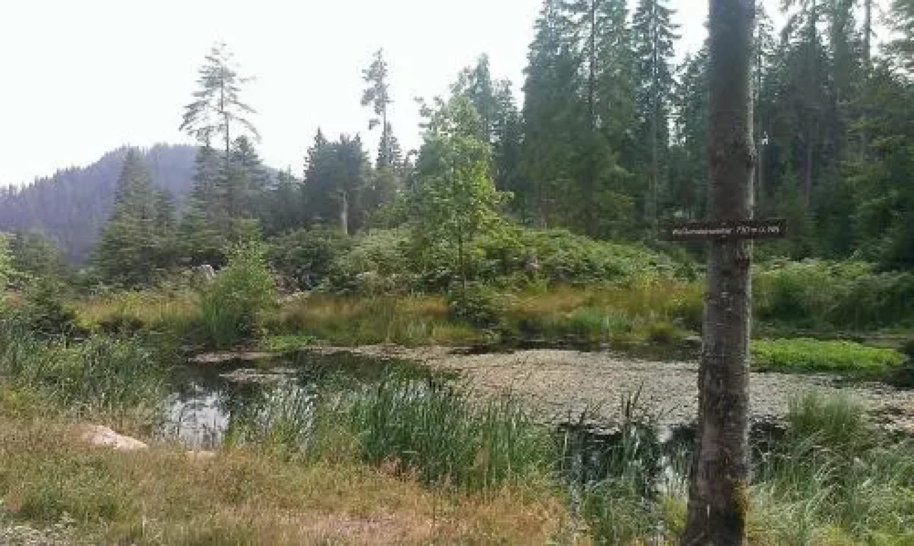 Martina Frey Ferienwohnungen