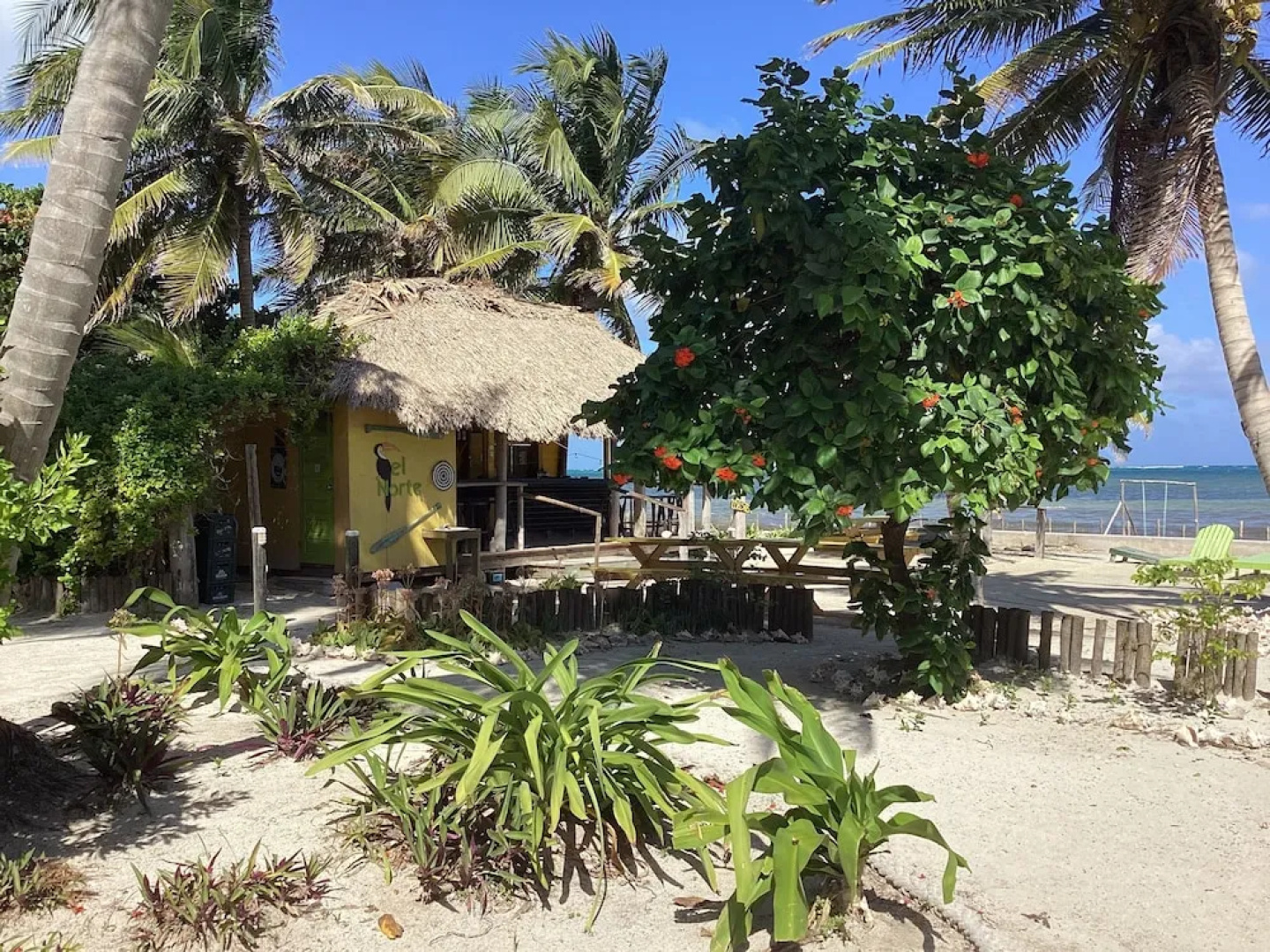 Playa Del Sol