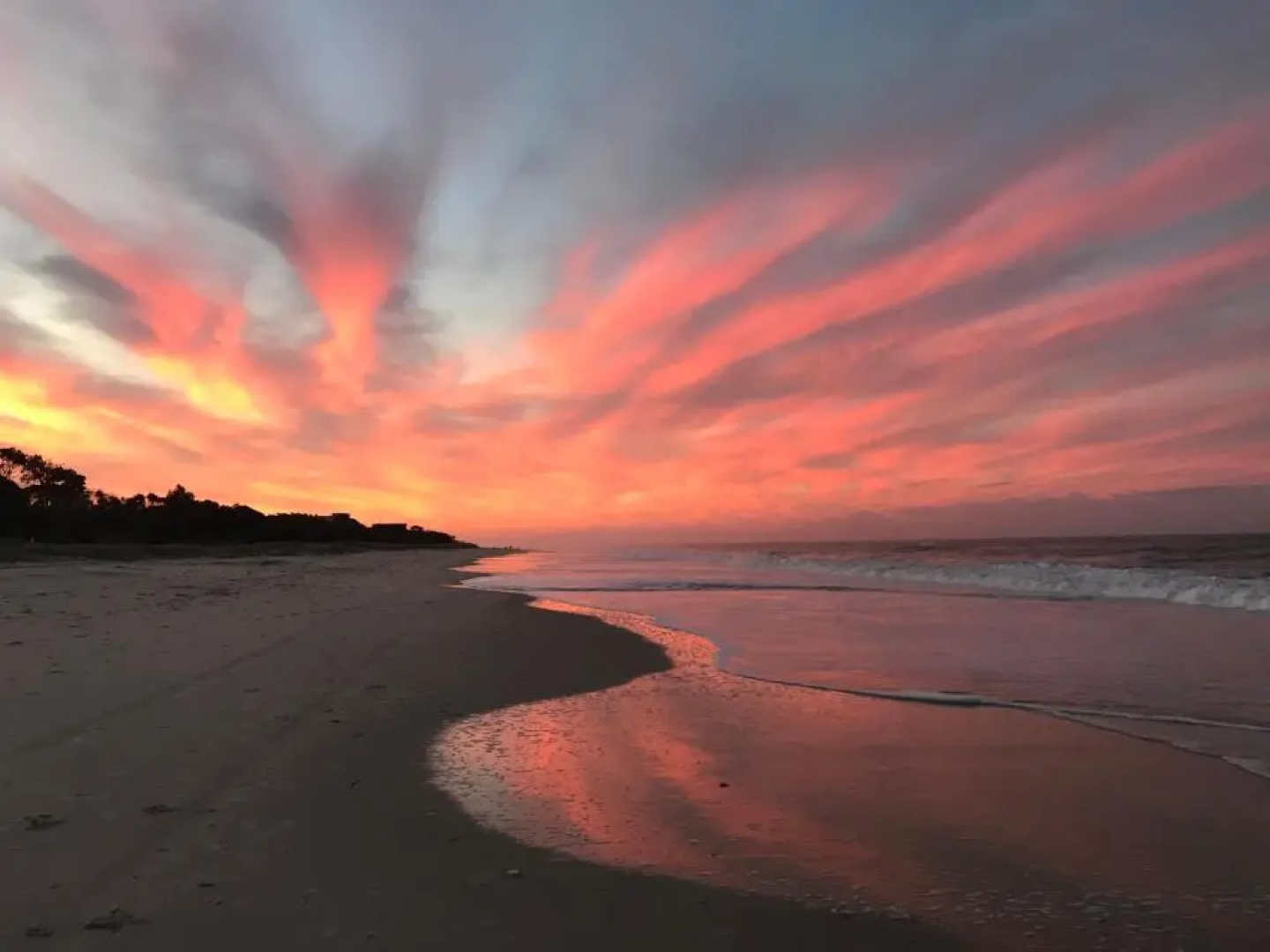 Beachfront at Bribie 2 Puppy Friendly