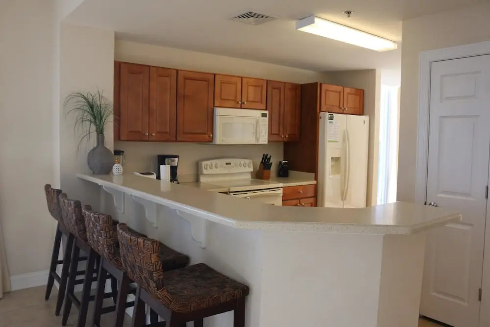 Emerald Dolphin by Surfside VR