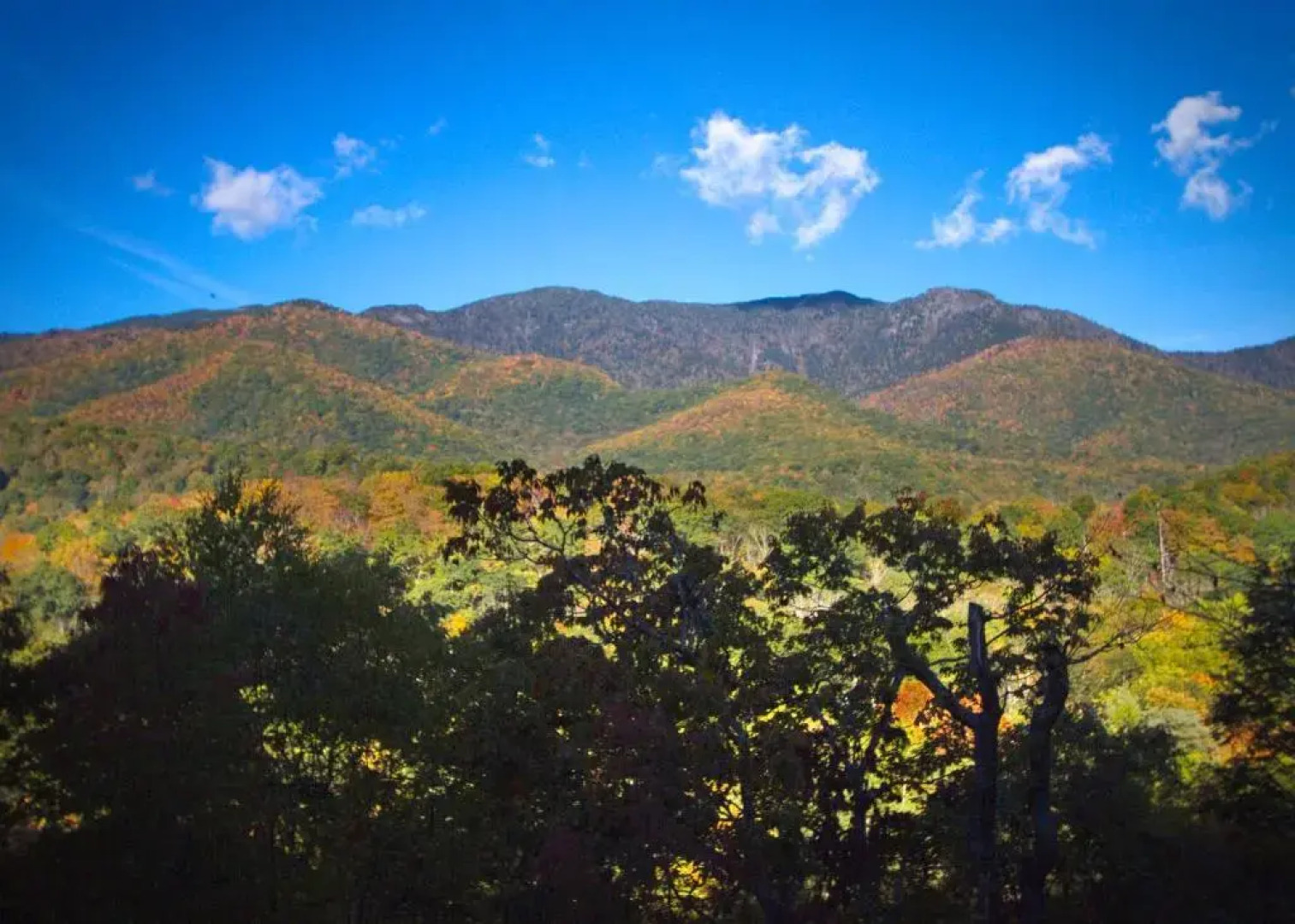 Albert's Lodge at Mt. Mitchell