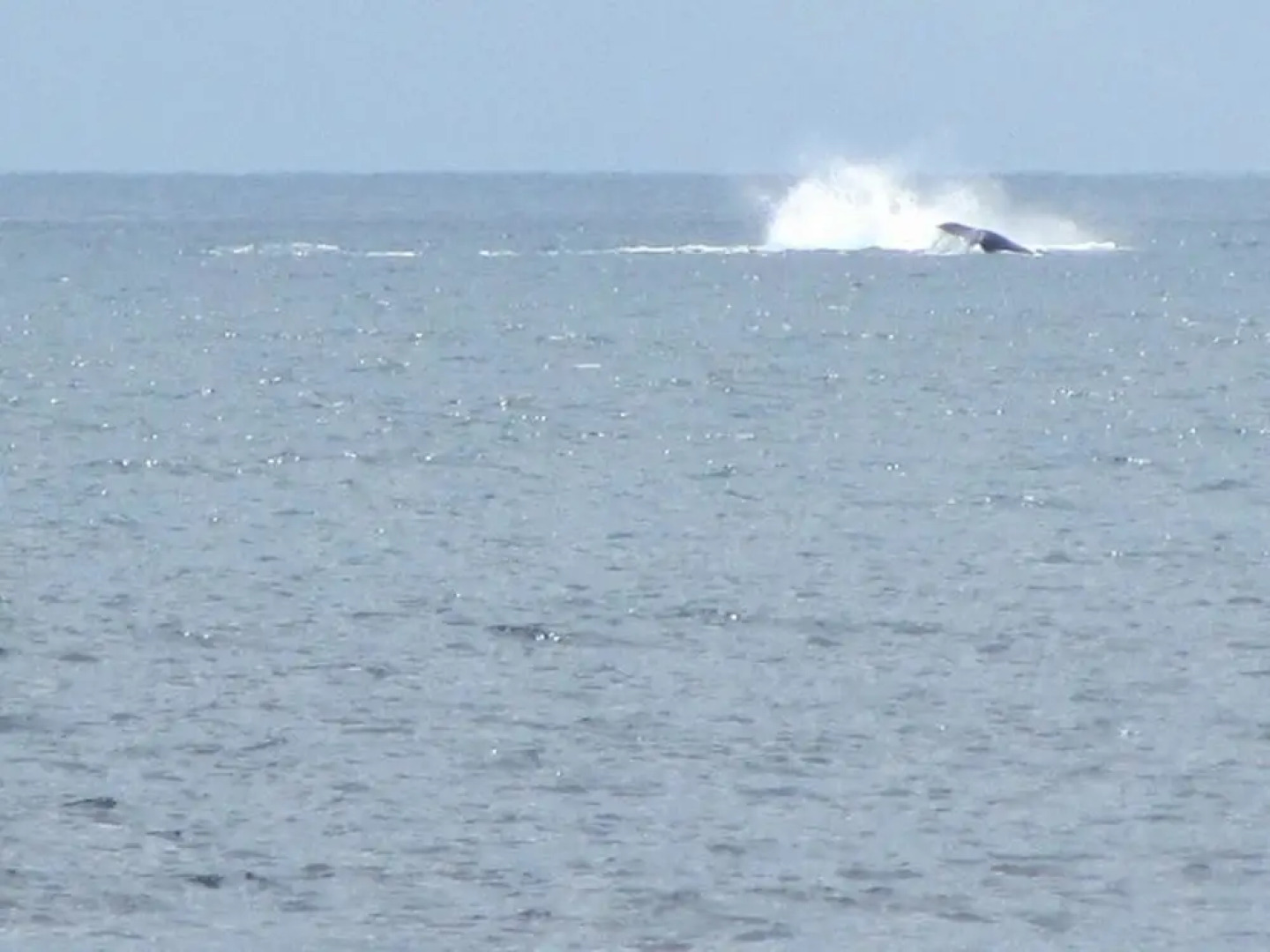 House With 2 Bedrooms in Île Sainte Marie, With Wonderful sea View and