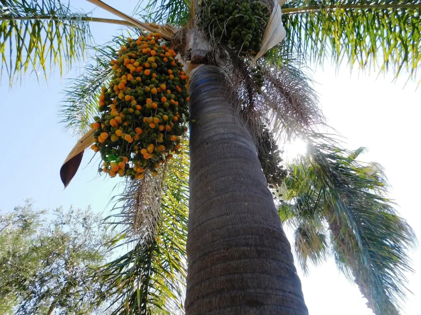 Agriturismo Case Sgaraglino