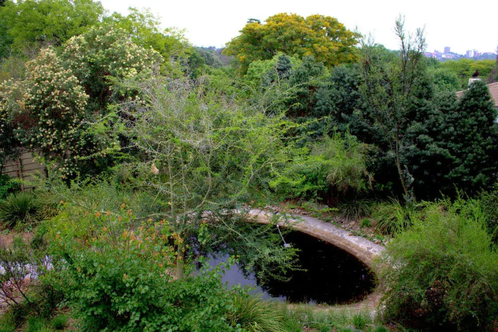 Wild Olive Executive Suite