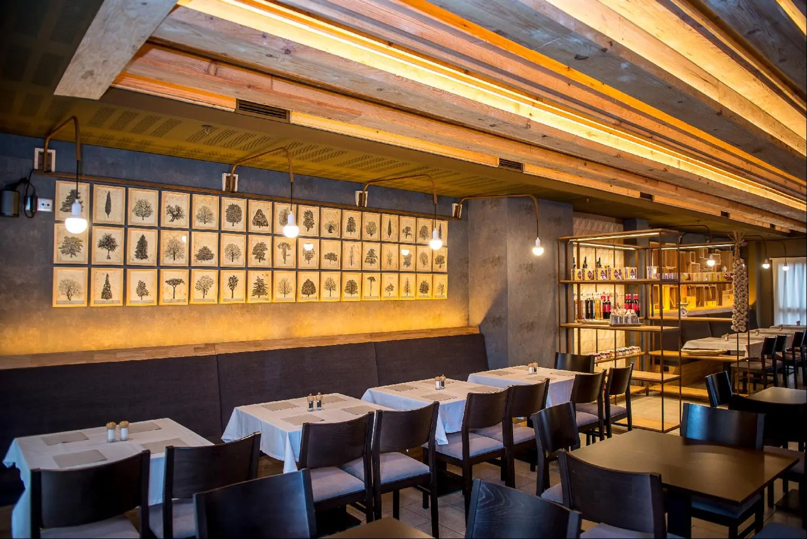 Apartahotel & Spa Jacetania