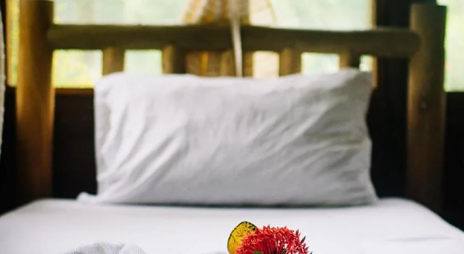 Hotel Canto de Ballenas