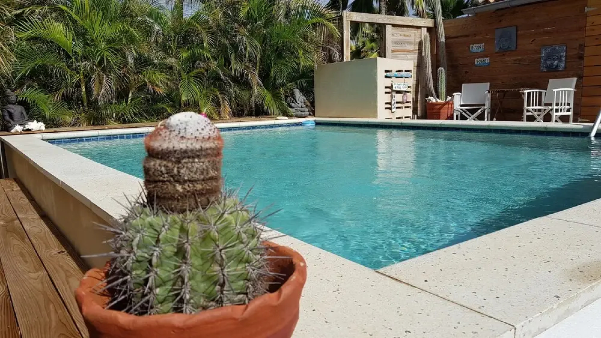 Villa Carina Apartments