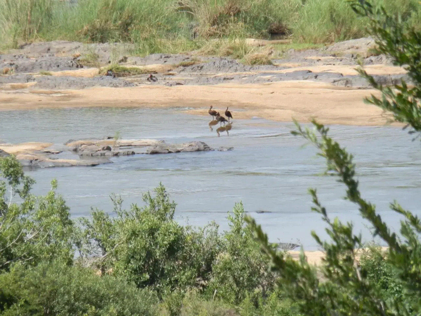 Villa Too Kruger Lodge
