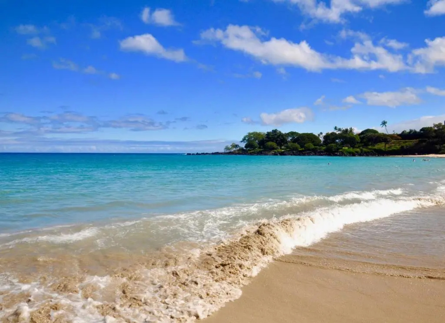 Affordable Luxury on One Acre