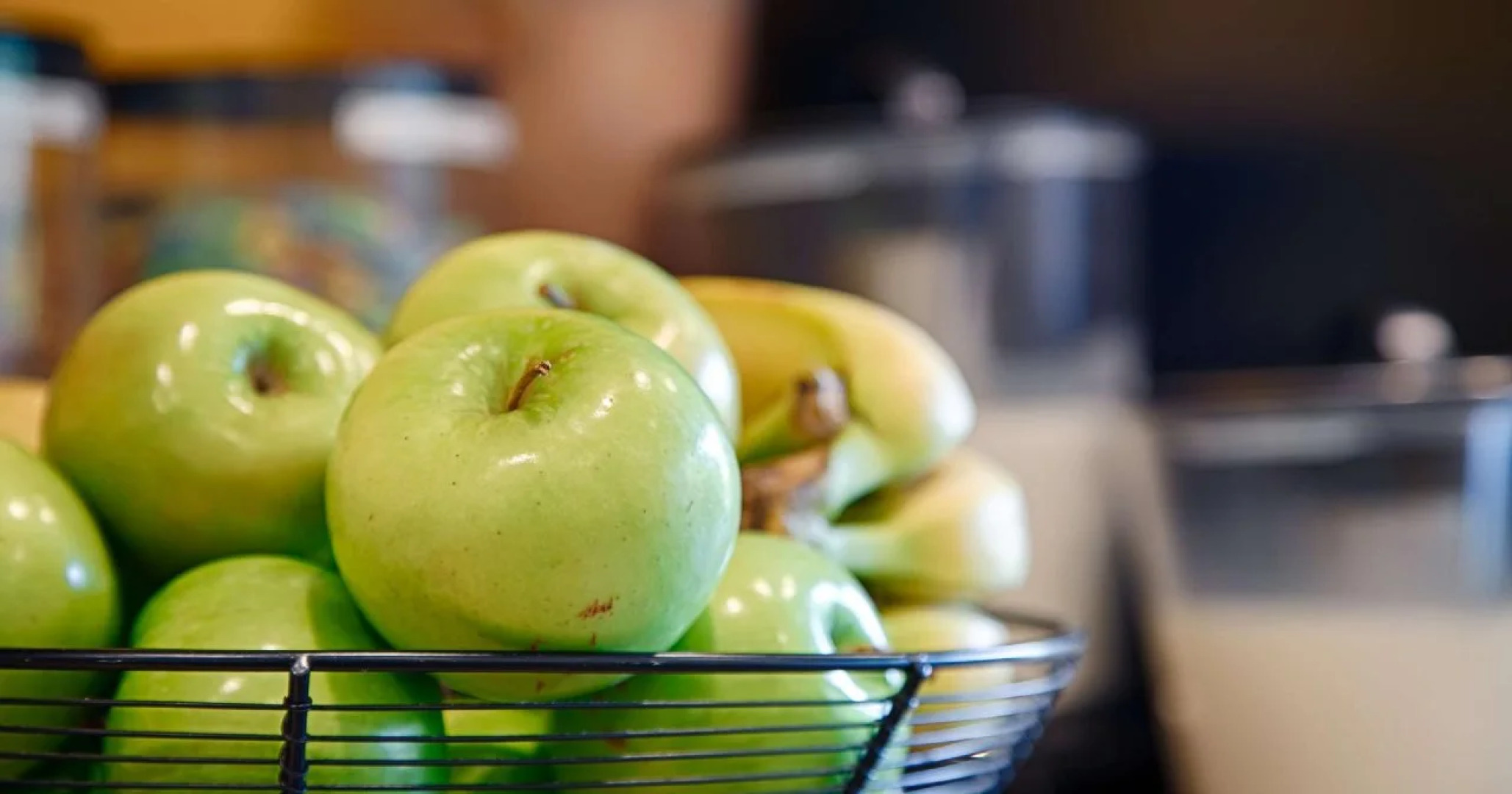 Best Western Charleston Inn