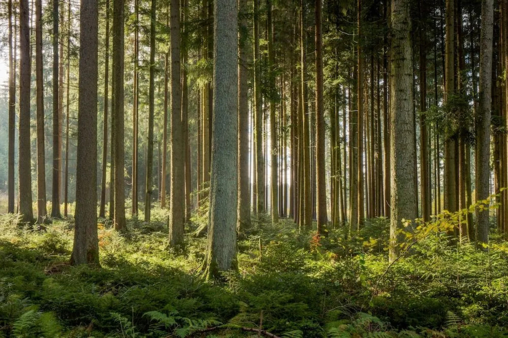 Schröder Hotel and Restaurant