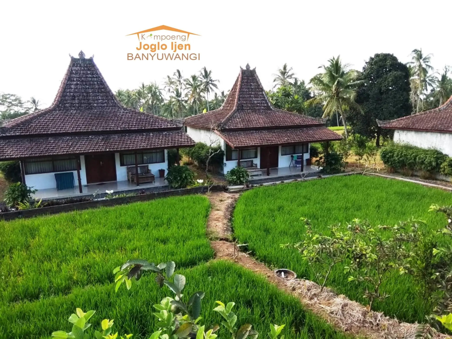 Kampoeng Joglo Ijen Banyuwangi