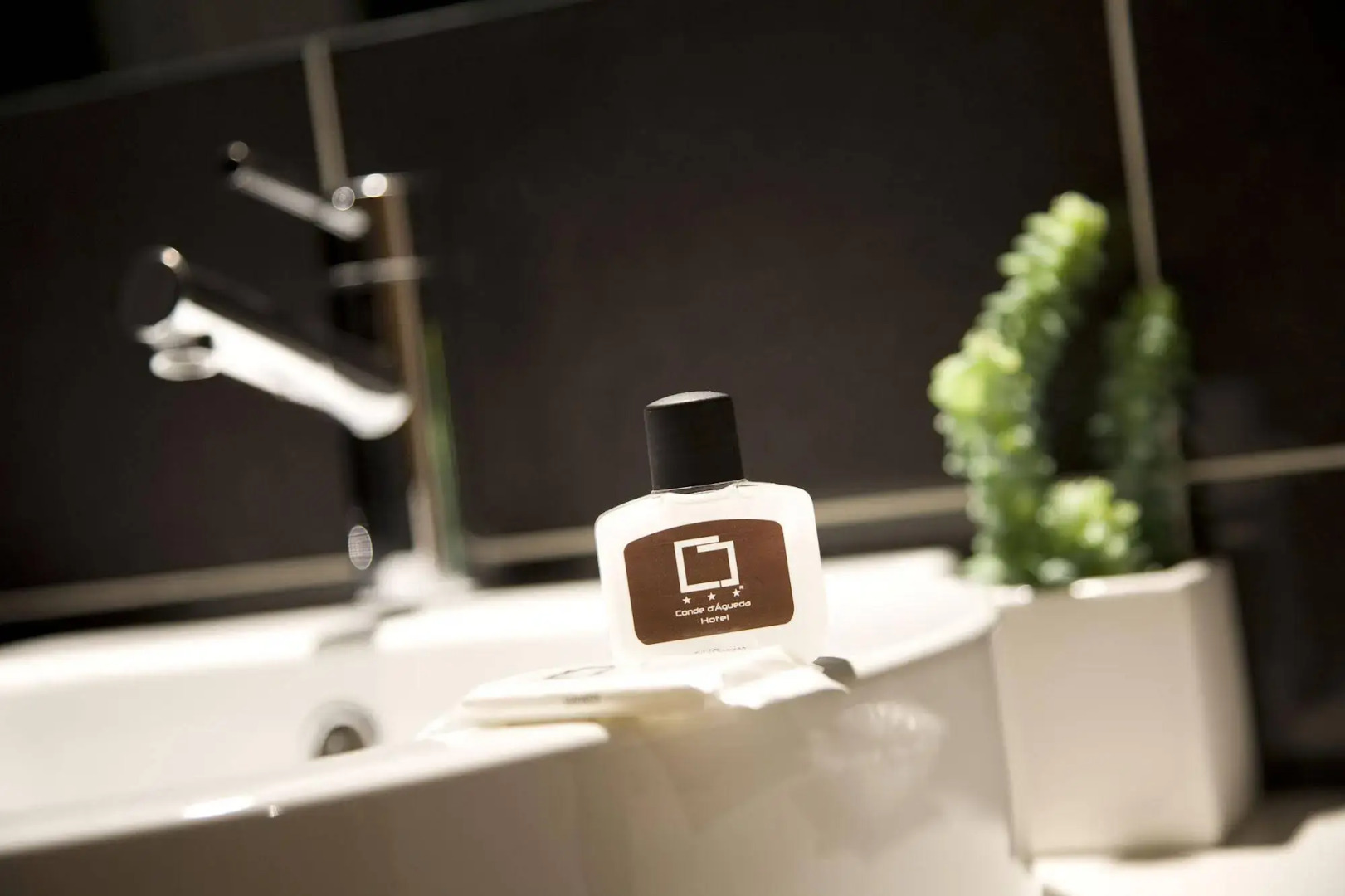 Hotel Conde d' Águeda