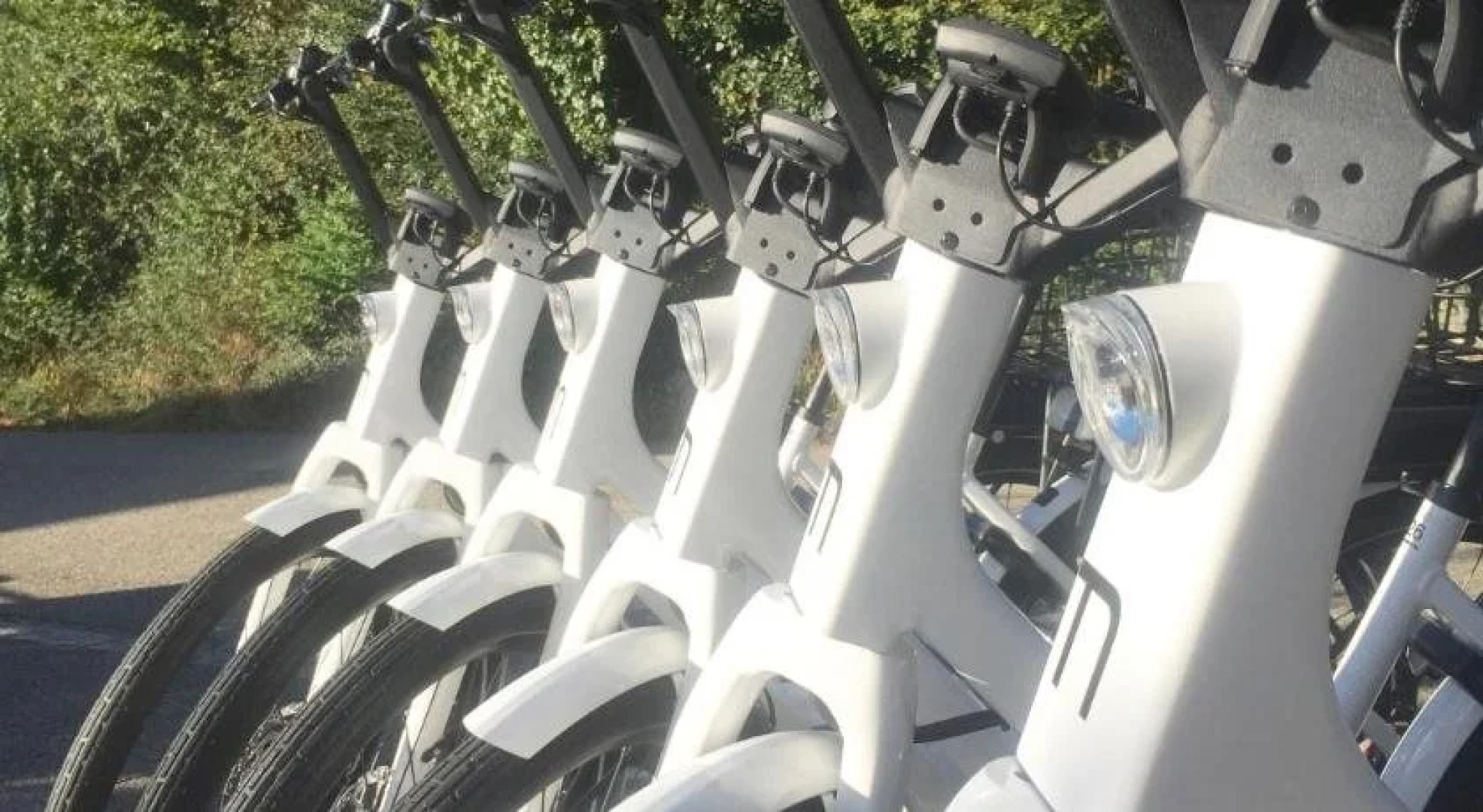 Bed And Breakfast Olten