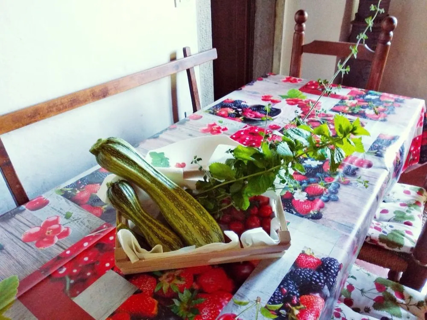 Azienda Agricola Ornina