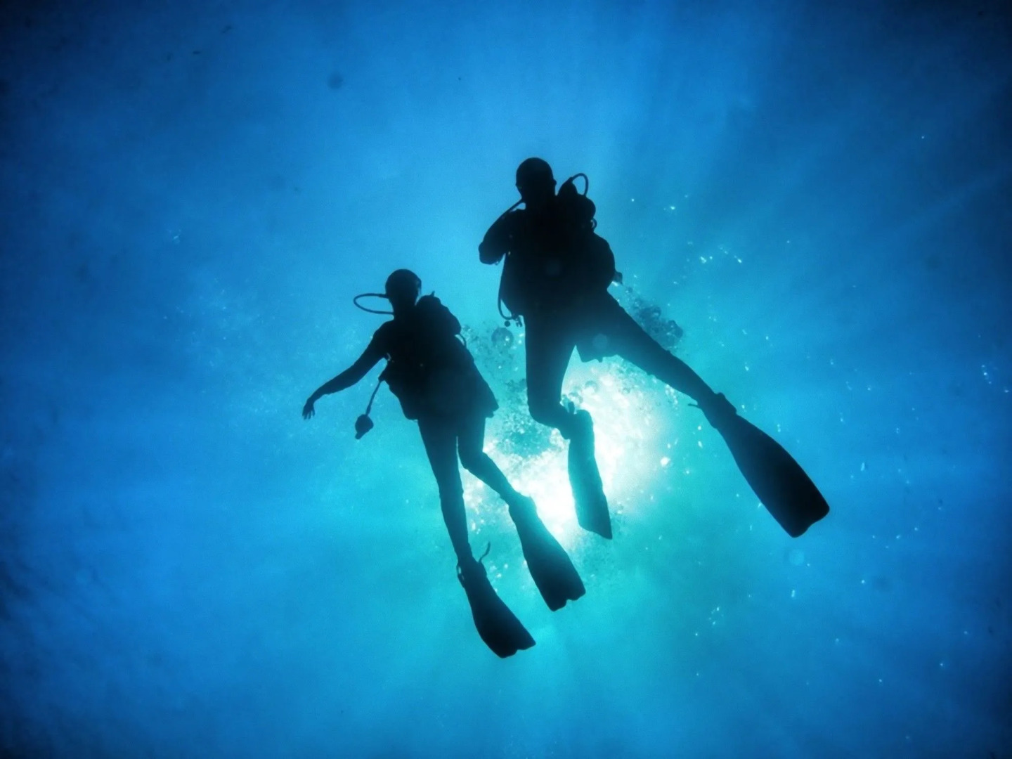 Baia de Bahas - Apartments