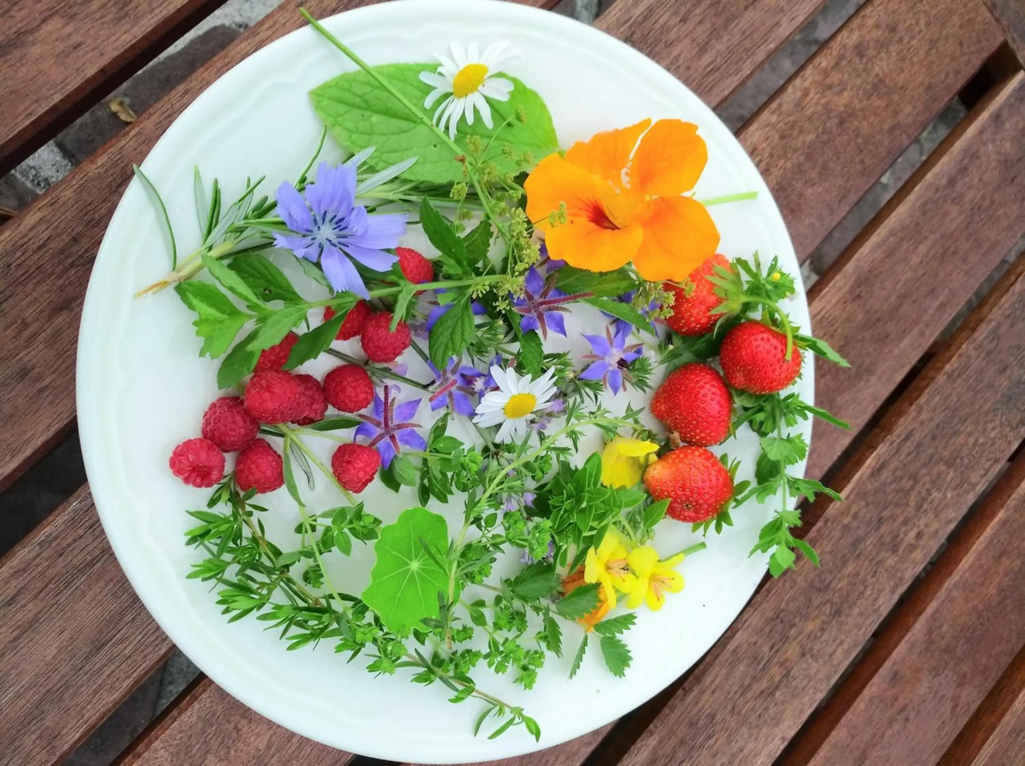 Logis Hotel Xoko-Goxoa