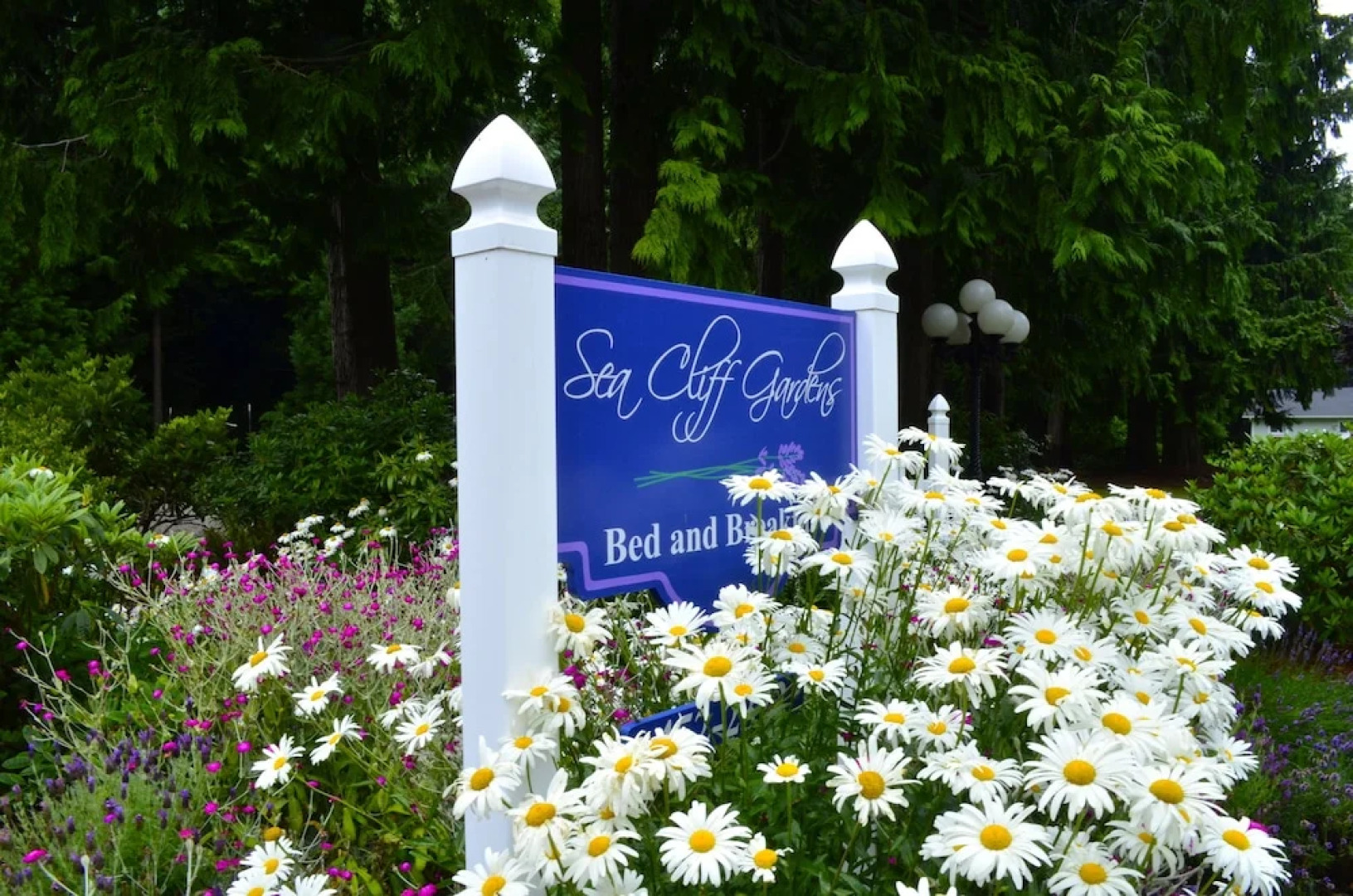 Sea Cliff Gardens Bed & Breakfast
