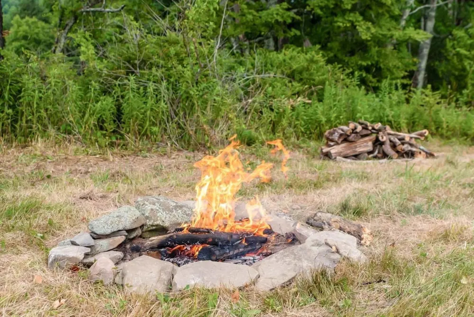 Tentrr - Fields of Dreams at Callicoon
