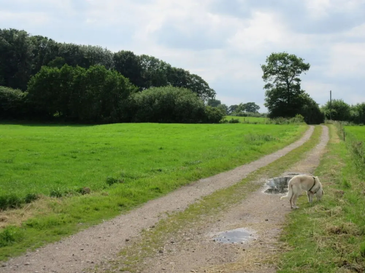 Hogelia Comfortable Holiday Residence