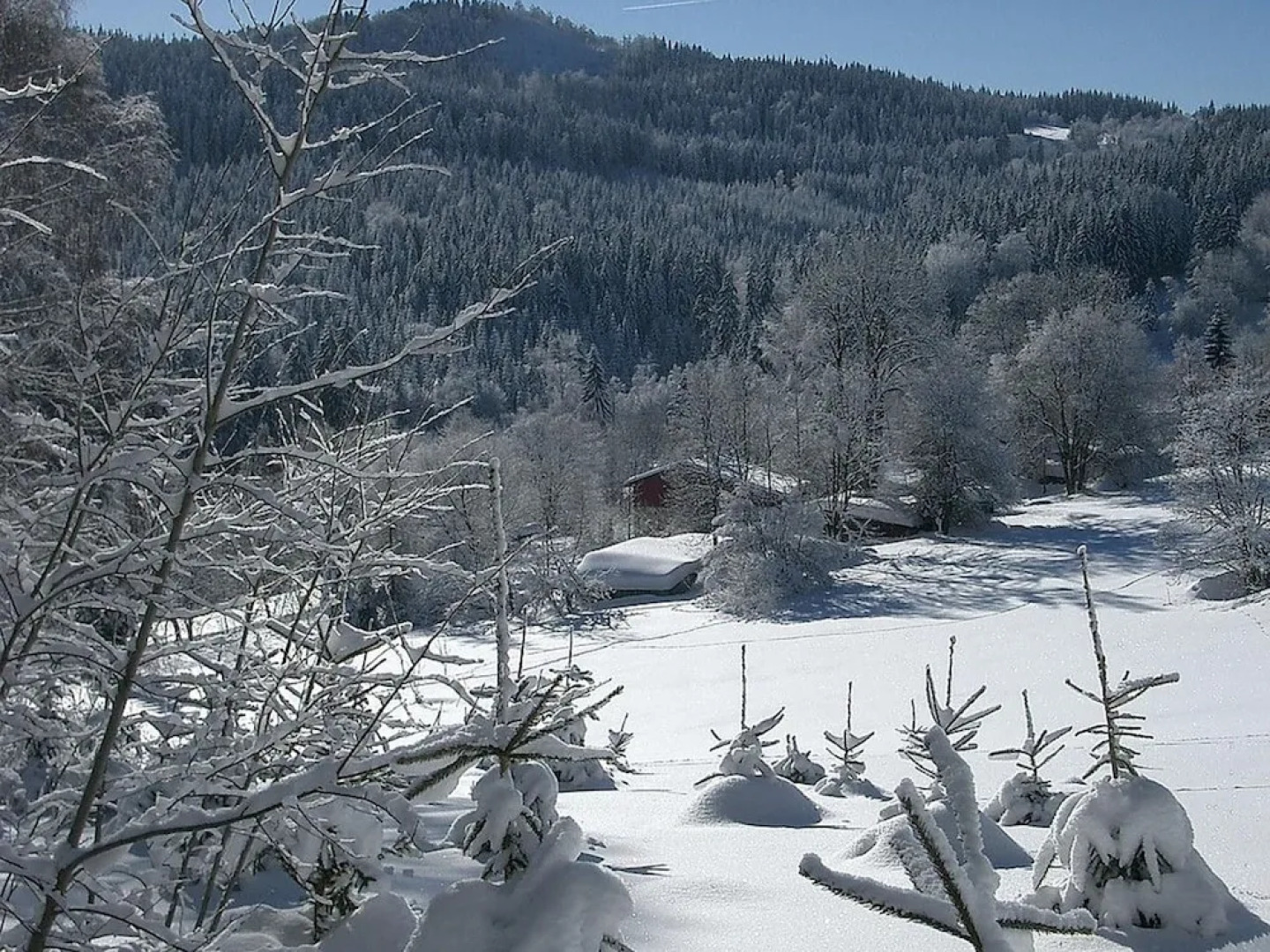 Serene Holiday Home With Private Garden, Whirlpool, Terrace