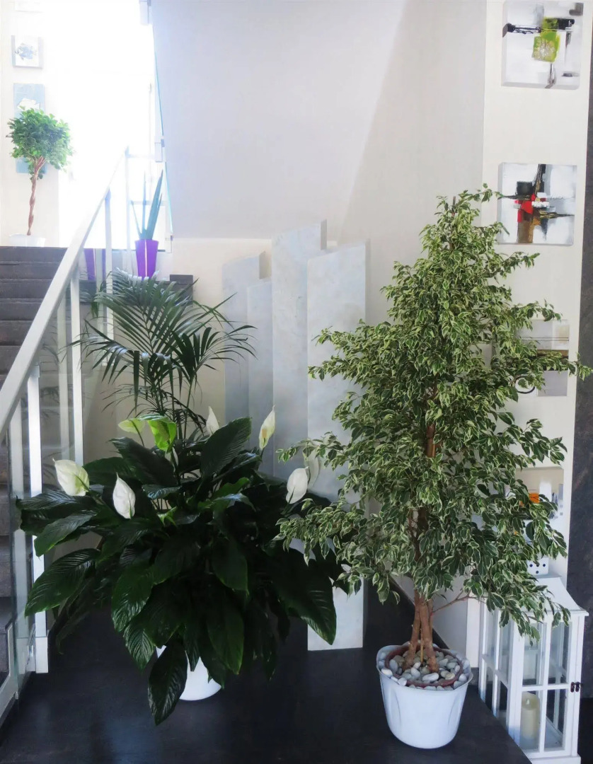 Hotel Eden Park Cilento