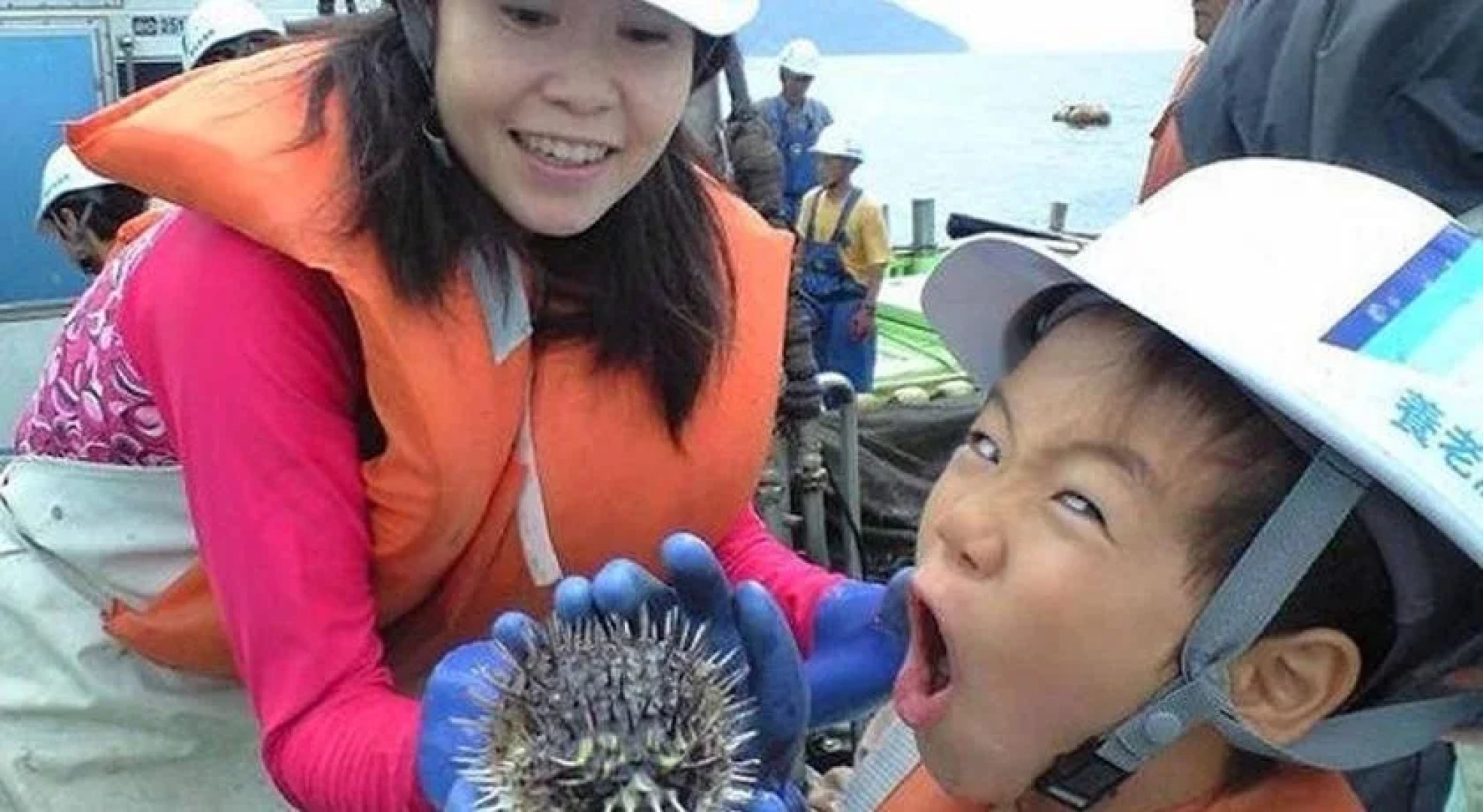 Swiss Village Kaze no Gakko Kyoto