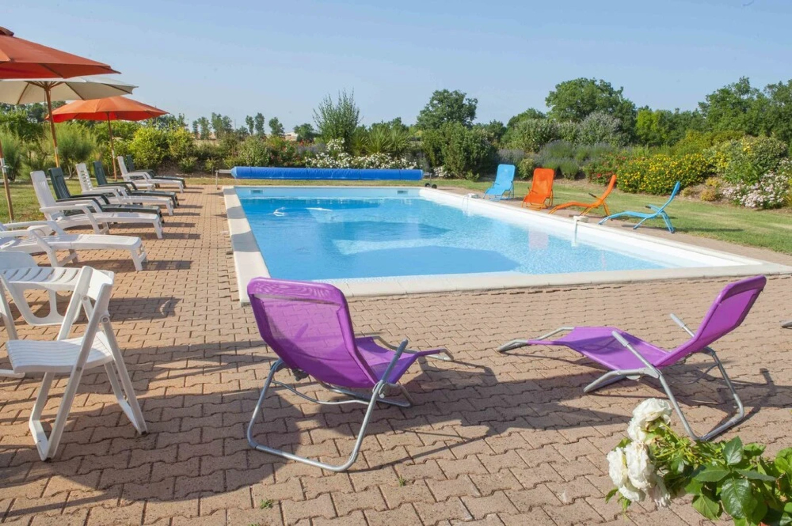 Domaine du Bossu Rubis