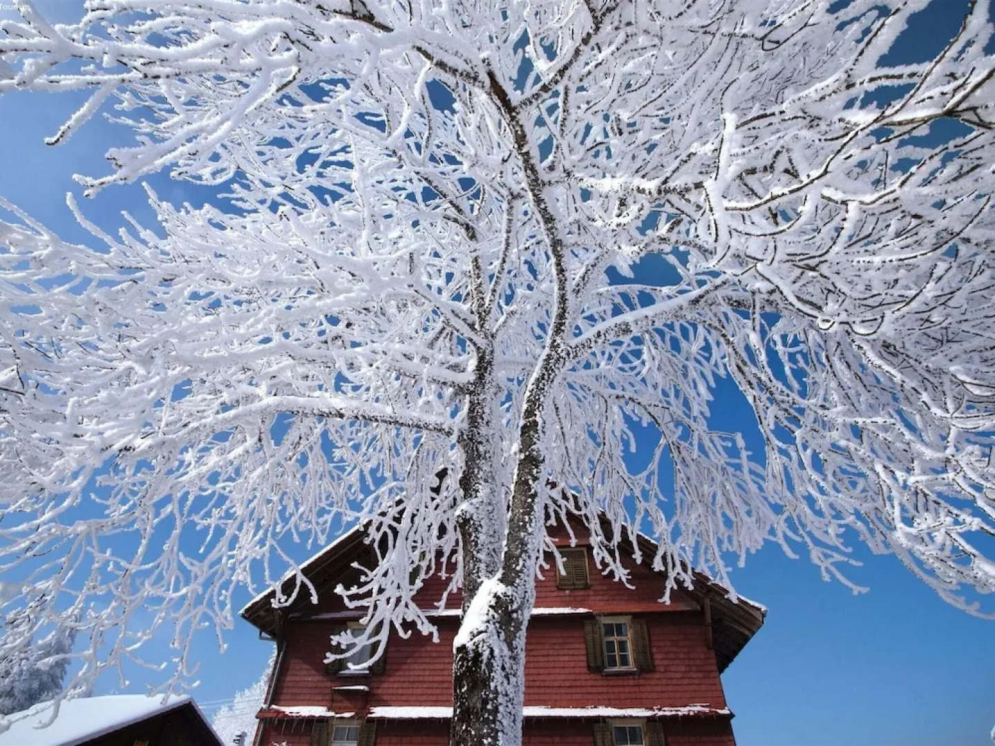 Cozy Holiday Home in Kandergrund With Blümlisalp View