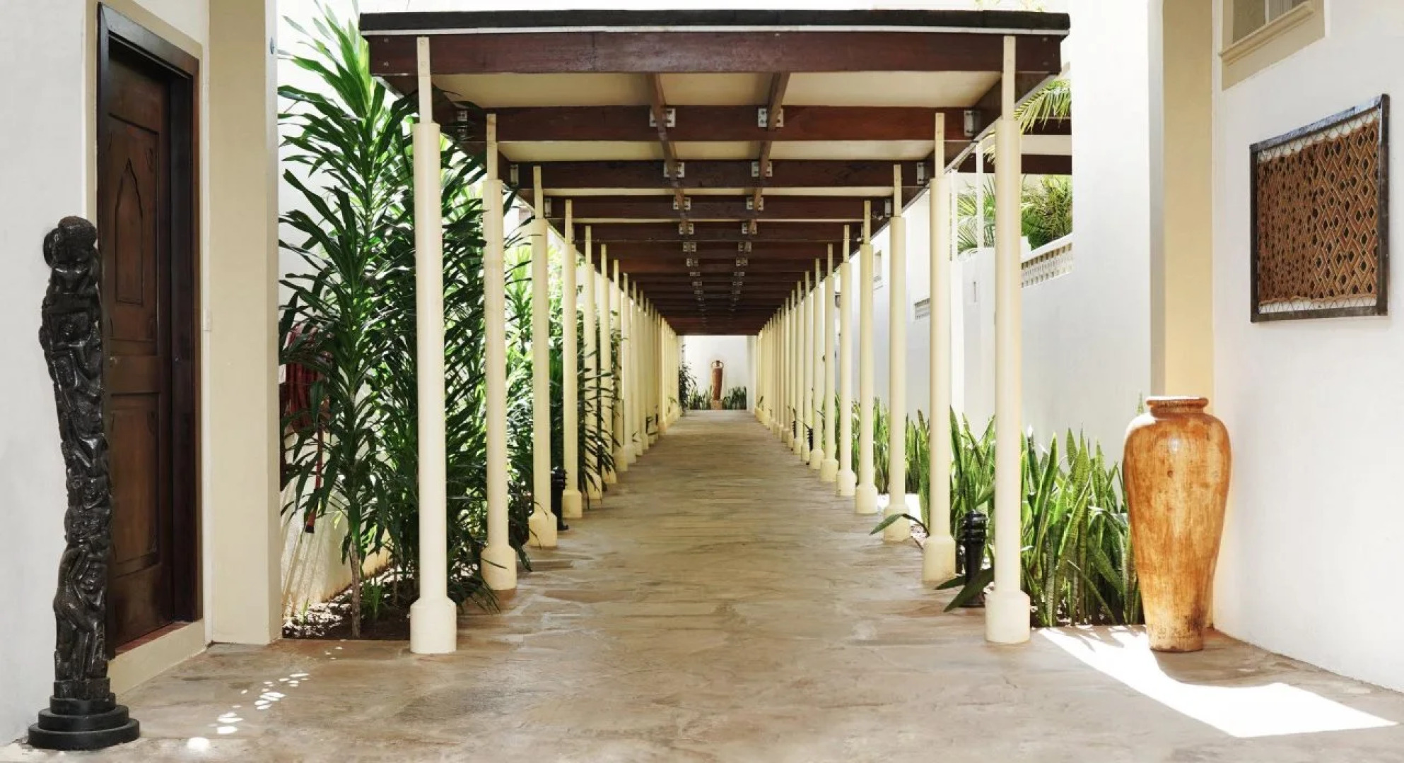 Diamonds Dream of Africa