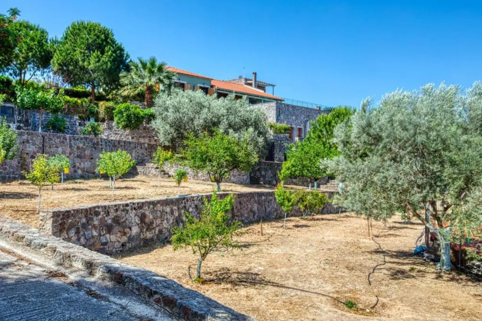 Terra Casa Private Villa in Aegina Island