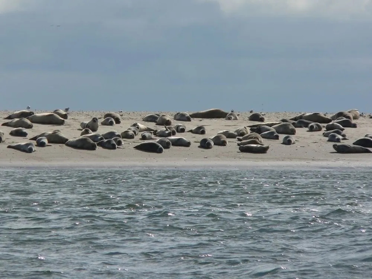 Fanø bad Ferielejligheder