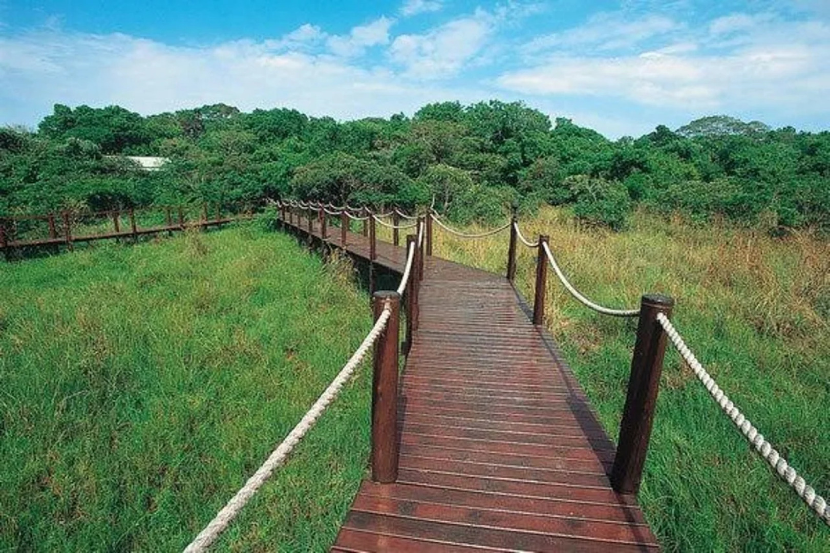 Makakatana Bay Lodge