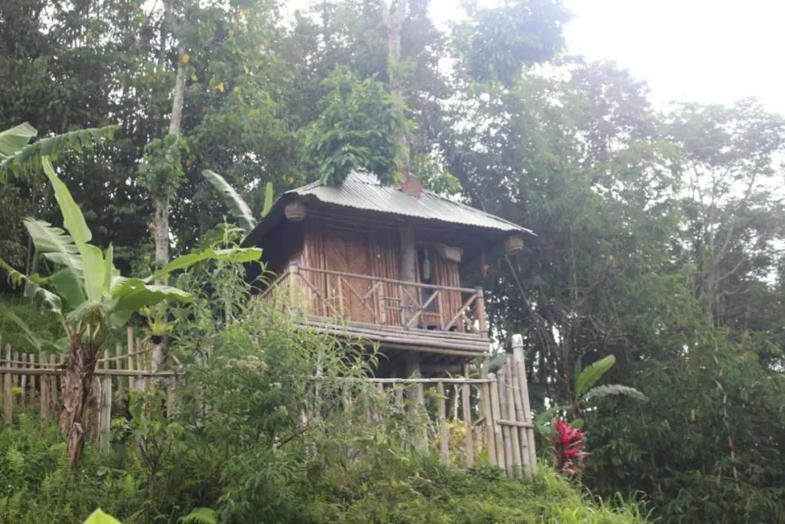 Bali Tree House Pelangi