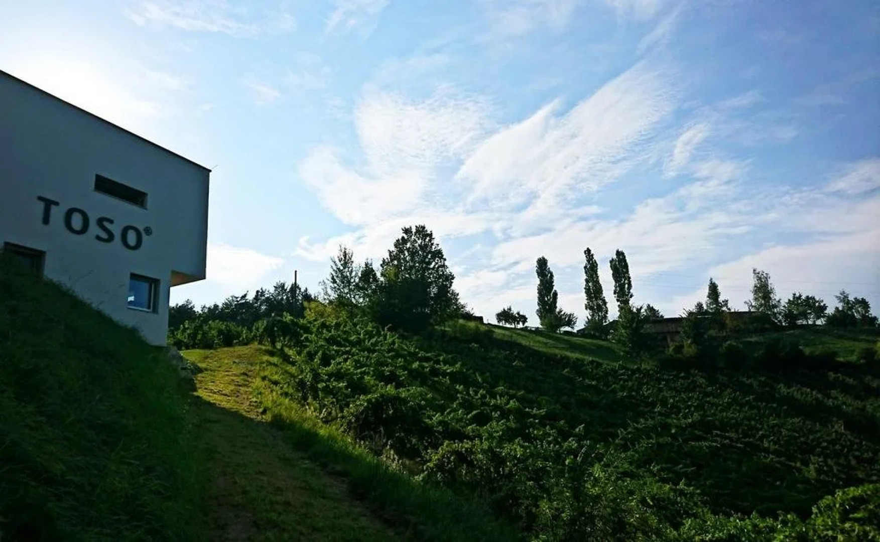 Weingut Winzerzimmer Toso