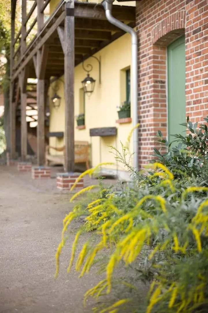 Zum Hauenden Schwein