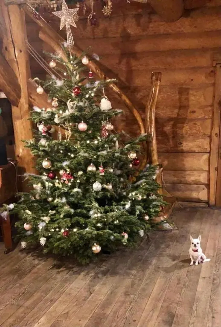 Viesu nams Vālodzes