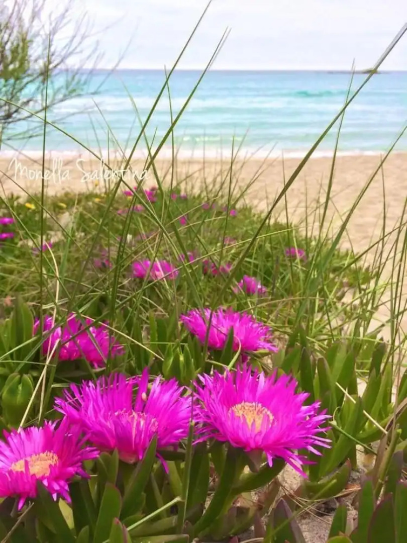 Holiday Home" C'era una Volta"