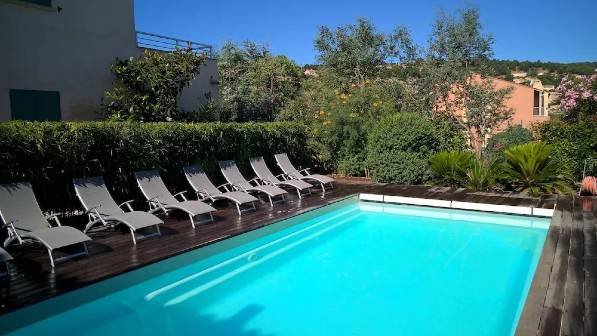 Les Camelias de Julienne