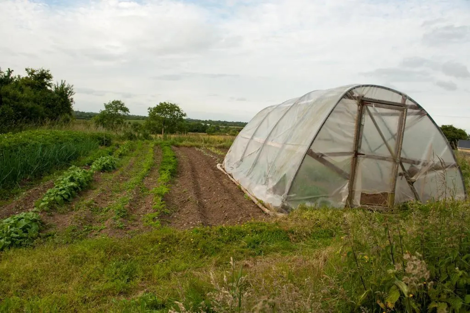Fort House Bed & Breakfast