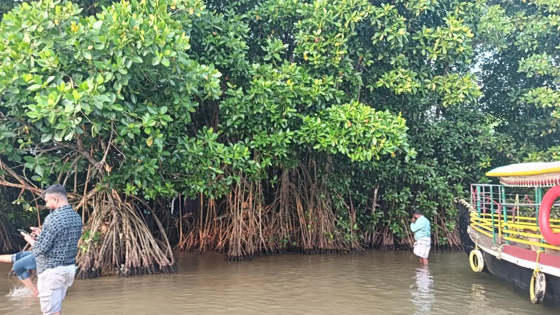 Dilkush Munroe Homestay