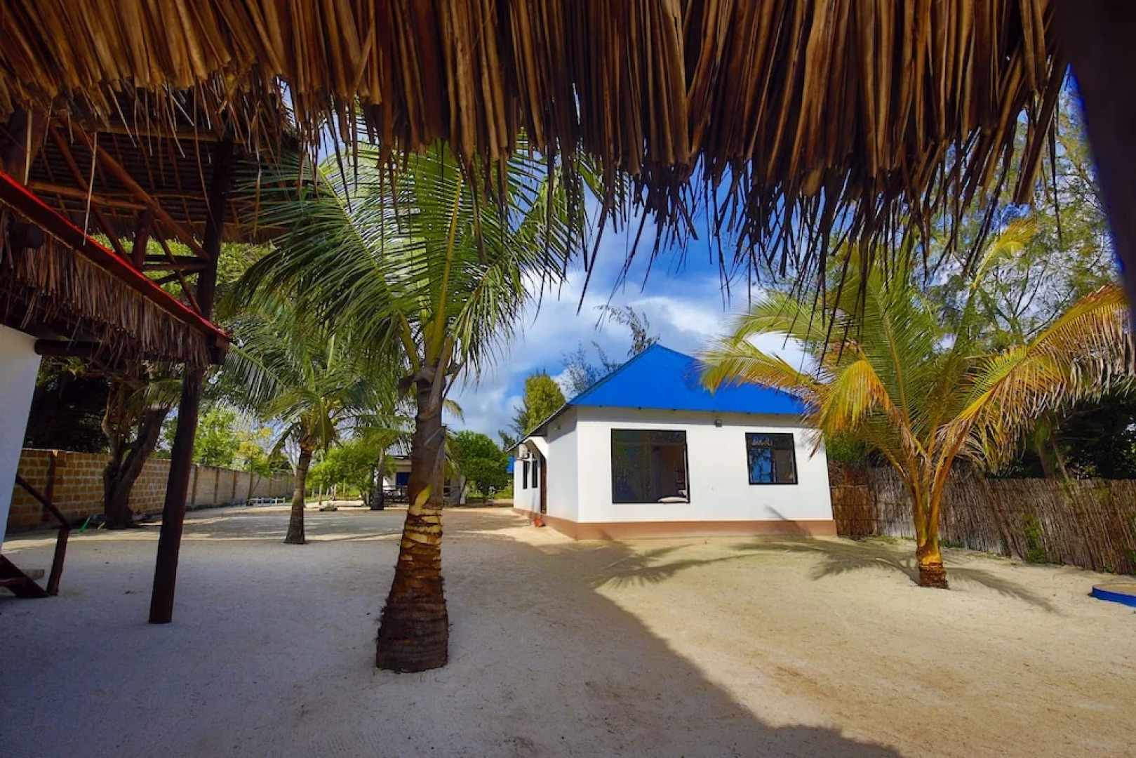 Zanzibar Blue Dolphin Bay
